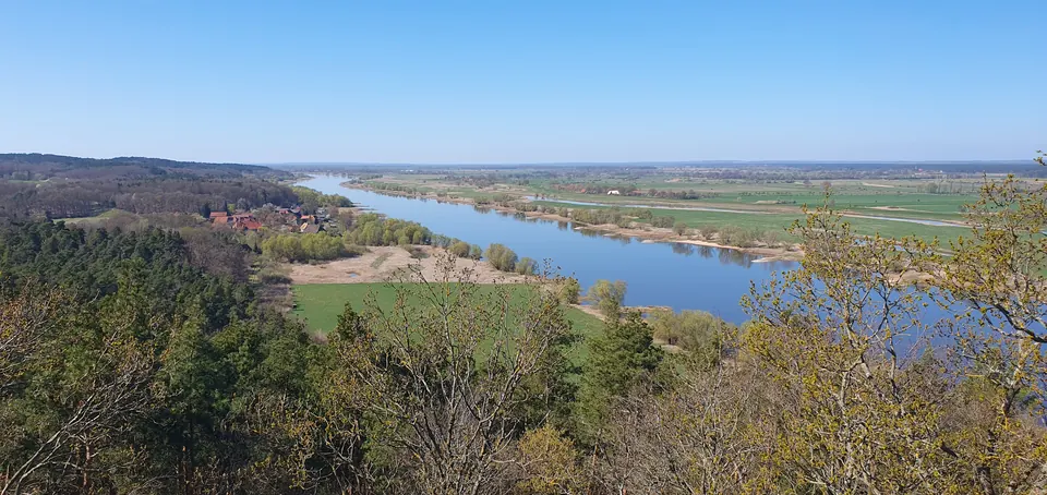 Blick von einer Anhöhe über die Elbe mit Auen und Wald